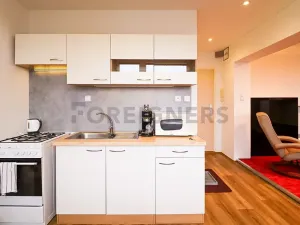 Pronájem bytu 1+kk, Brno, Laštůvkova, 39 m2