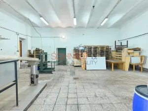 Prodej výrobních prostor, Biskupice, 1612 m2