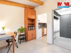 Prodej bytu 1+kk, Janov nad Nisou, 25 m2