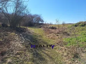 Prodej pozemku pro bydlení, Žatec - Milčeves, 4163 m2