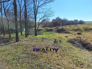 Prodej pozemku pro bydlení, Žatec - Milčeves, 4163 m2