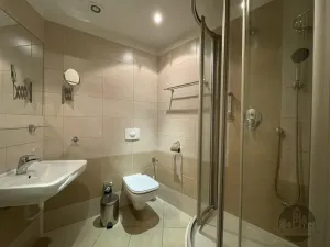 Pronájem bytu 1+kk, Praha - Žižkov, Prokopova, 19 m2