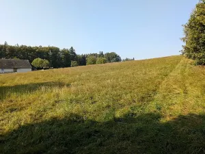 Prodej pozemku pro bydlení, Nové Lublice, 7990 m2