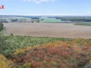 Prodej pozemku pro bydlení, Těchlovice, 24402 m2