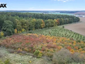 Prodej pozemku pro bydlení, Těchlovice, 24402 m2