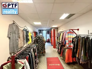 Pronájem obchodního prostoru, Plzeň, Goethova, 33 m2