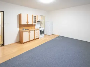 Pronájem bytu 1+kk, Mělník, Čechova, 30 m2