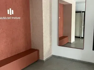 Pronájem bytu 2+kk, Praha - Nusle, Muzikova, 51 m2