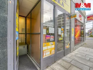 Pronájem obchodního prostoru, Plzeň - Jižní Předměstí, Goethova, 33 m2