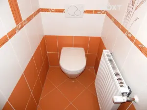 Prodej bytu 1+kk, Černý Důl, 47 m2