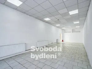 Prodej rodinného domu, Mělník, Mladoboleslavská, 161 m2