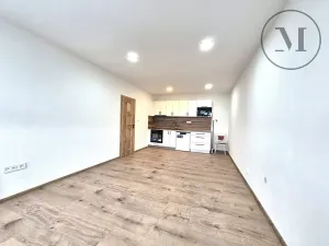 Prodej bytu 3+kk, Písek, 59 m2