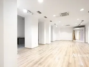 Pronájem obchodního prostoru, Brno, Masarykova, 176 m2