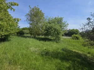 Prodej pozemku pro bydlení, Maršovice, Maršovice, 820 m2