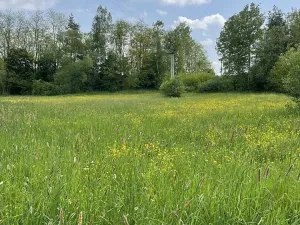 Prodej louky, Týn nad Vltavou, Hněvkovice na pravém břehu Vlt., 1648 m2