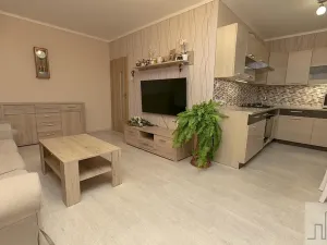 Prodej bytu 2+1, Litvínov, Valdštejnská, 49 m2