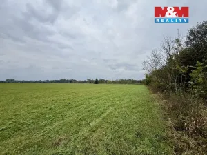Prodej pole, Bohuslavice, 17695 m2