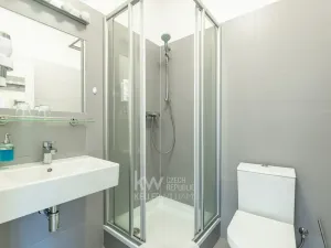 Pronájem bytu 1+kk, Praha - Nusle, Na Jezerce, 21 m2