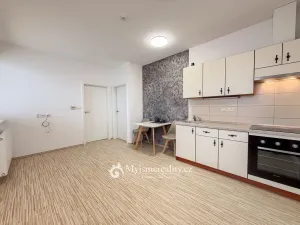 Prodej bytu 2+kk, Znojmo, Růžičkova, 38 m2