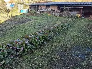 Prodej rodinného domu, Lomnička, 300 m2