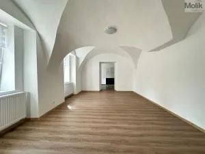 Pronájem bytu 1+1, Osek, Obránců míru, 36 m2