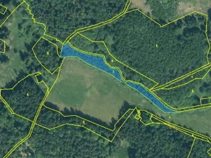 Prodej lesa, Rozvadov - Nové Domky, 5912 m2