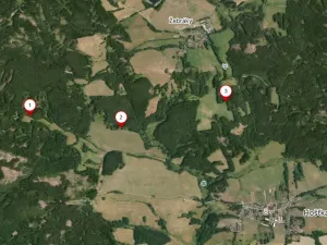 Prodej lesa, Rozvadov - Nové Domky, 5912 m2