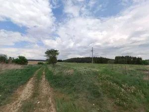 Prodej pole, Bor - Skviřín, 25422 m2