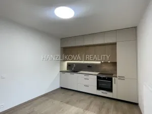 Pronájem bytu 2+kk, České Budějovice, Hálkova, 40 m2
