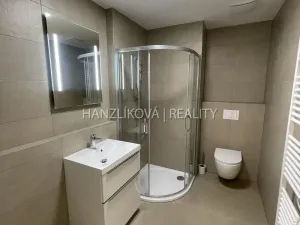 Pronájem bytu 2+kk, České Budějovice, Hálkova, 40 m2