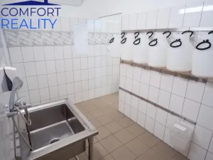 Prodej výrobních prostor, Suchdol nad Odrou - Kletné, 220 m2