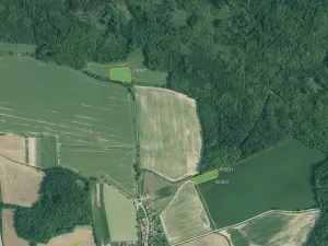 Prodej pole, Olešník, 67455 m2