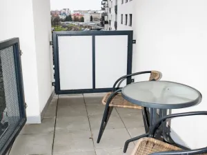 Pronájem bytu 2+kk, Olomouc, Wolkerova, 46 m2