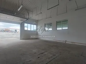 Pronájem skladu, Holubice, 110 m2