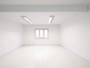 Pronájem kanceláře, Liberec, Na Žižkově, 173 m2