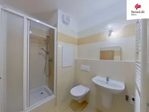 Pronájem bytu 1+kk, Lázně Bohdaneč, Za Pivovarem, 26 m2