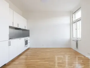 Pronájem bytu 1+kk, Praha - Karlín, Vítkova, 29 m2