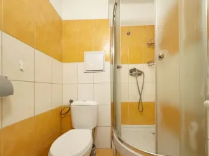 Pronájem bytu 1+1, Kladno - Kročehlavy, Vodárenská, 29 m2