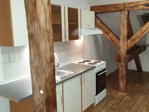 Pronájem bytu 1+kk, Ústí nad Labem, Londýnská, 43 m2