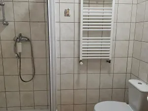 Prodej bytu 1+1, Brno, Jiráskova, 44 m2