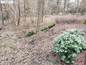 Prodej chaty, Vranov, 34 m2