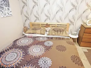 Pronájem bytu 2+1, Mělník, Oldřicha Wenzla, 55 m2