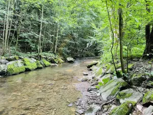 Prodej pozemku pro bydlení, Oskava, 4532 m2