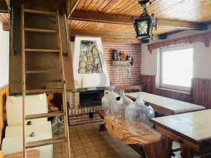 Prodej vinného sklepa, Dolní Bojanovice, Zemačka, 37 m2