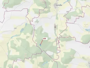 Dražba lesa, Kuřimany, 3688 m2