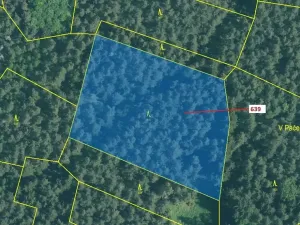 Dražba lesa, Kuřimany, 8912 m2