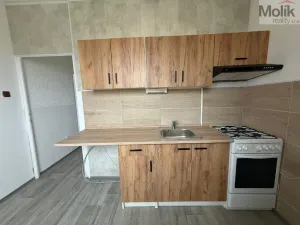Pronájem bytu 2+1, Most, Hutnická, 55 m2