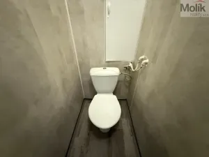 Pronájem bytu 2+1, Most, Hutnická, 55 m2