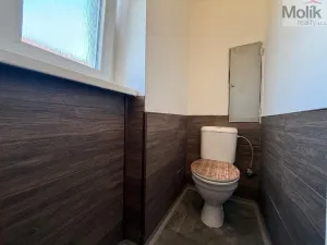 Pronájem bytu 2+1, Meziboří, Hornická, 65 m2