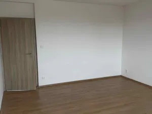 Pronájem bytu 3+1, Petrovice, 61 m2